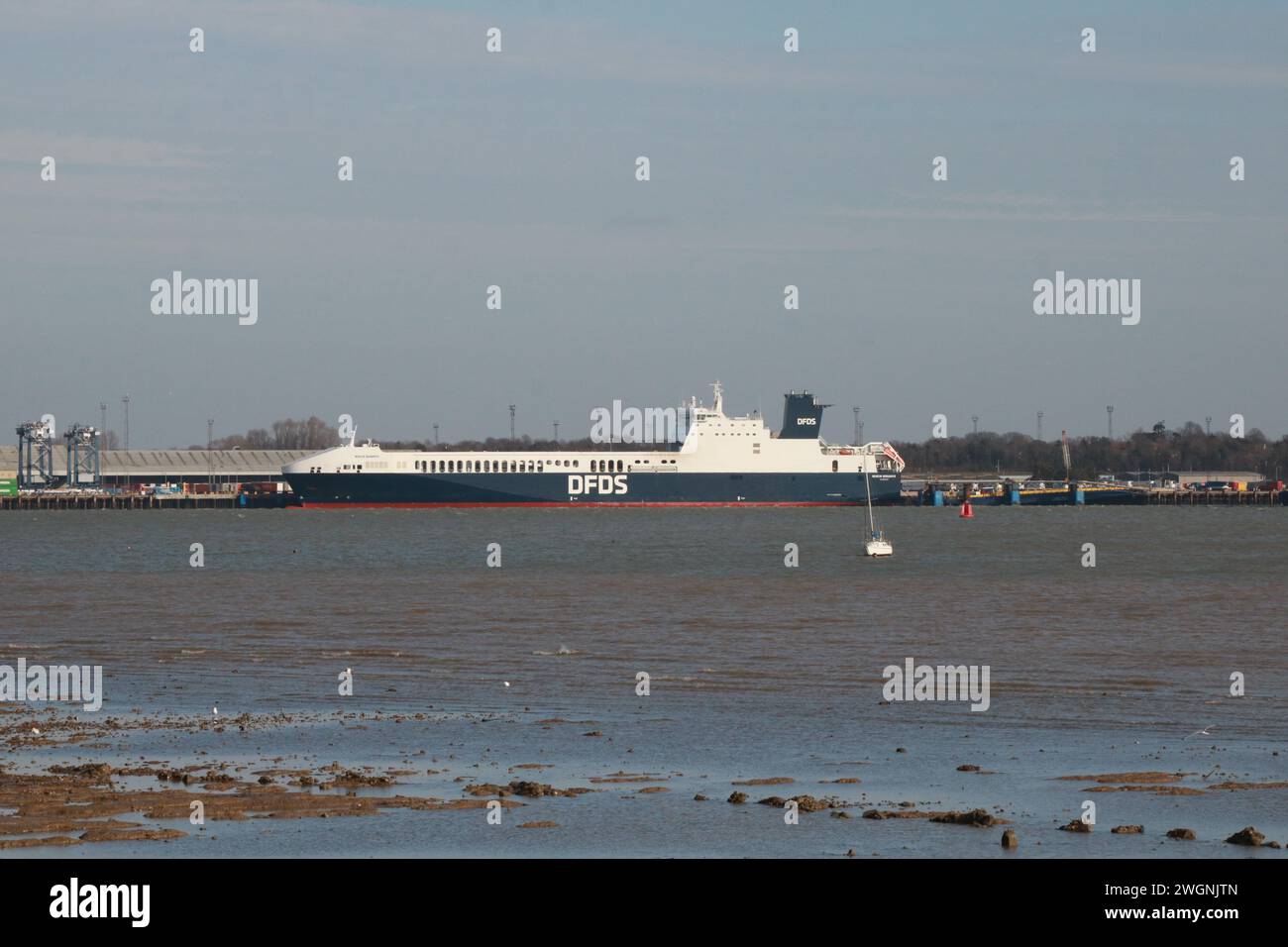 201 m, 32770 tonnellate, RORO DFDS Seaways Acacia Seaways al molo Felixstowe RORO dopo l'arrivo da Rotterdam il 5 febbraio 2024. Foto Stock