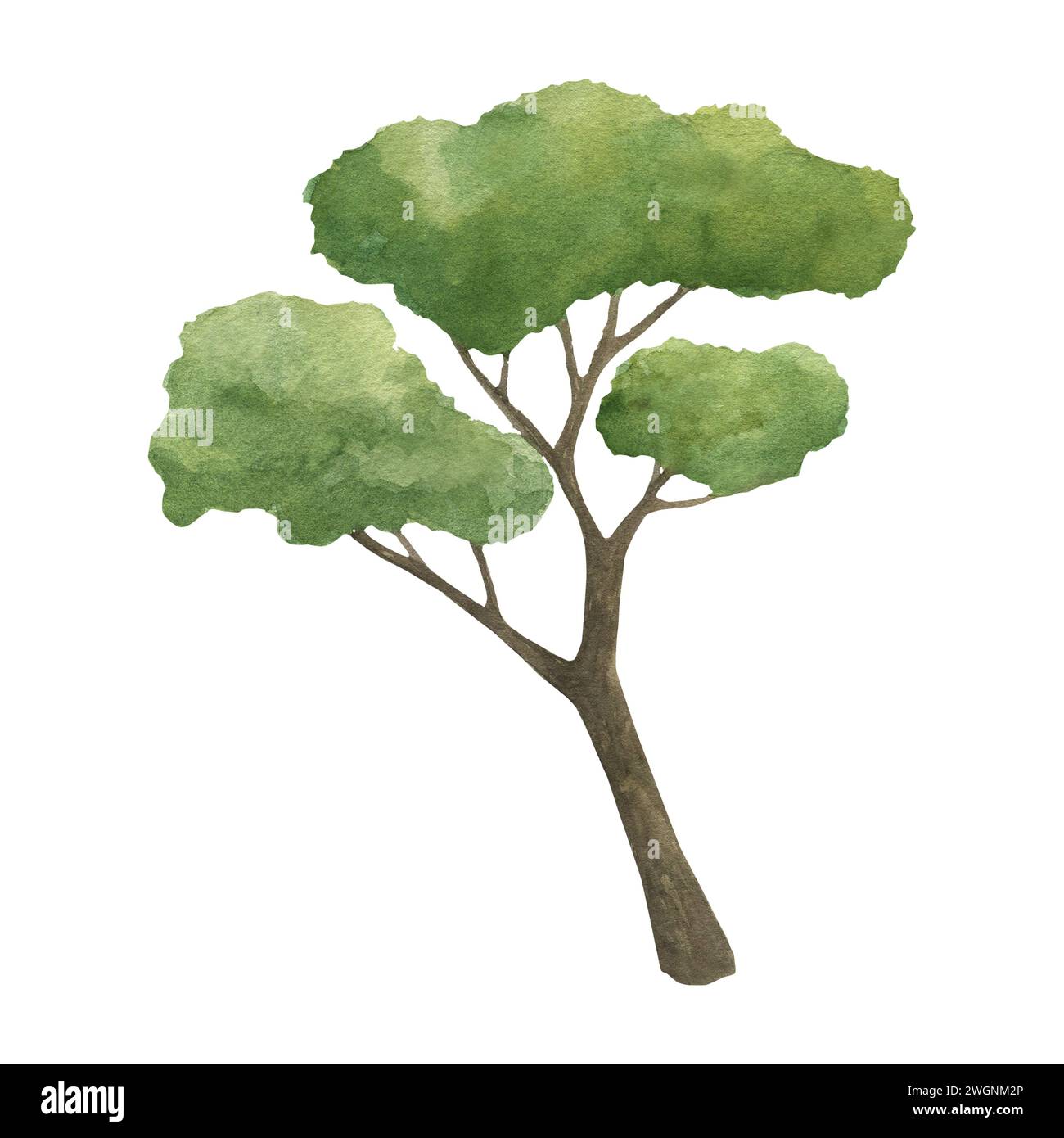 Illustrazione ad acquerello di un albero stilizzato isolato. Per l'arredamento, le composizioni e gli sfondi della camera dei bambini Foto Stock