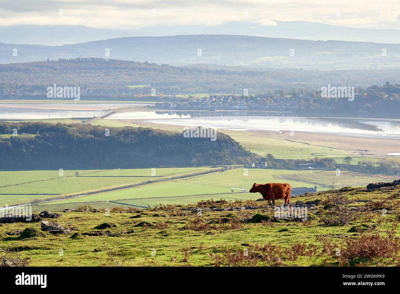 Arnside e l'estuario del fiume Kent visti da Hampsfell. Foto Stock