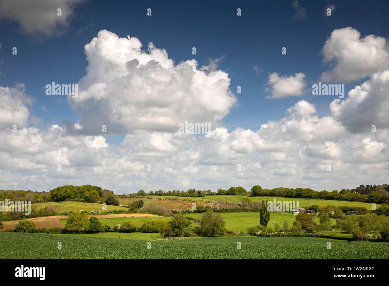 Regno Unito, Inghilterra, Suffolk, Stoke by Nayland, vista su Dedham vale Foto Stock