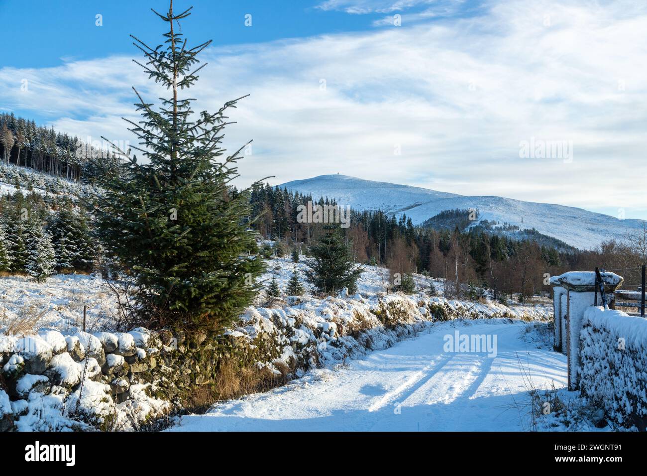 Camminando lungo il percorso Cateran verso Mount Blair, Glen Shee, Perthshire, Scozia Foto Stock