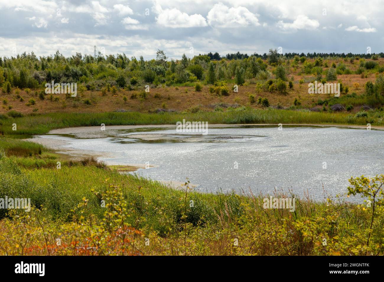 riserva naturale fairburn ings Foto Stock