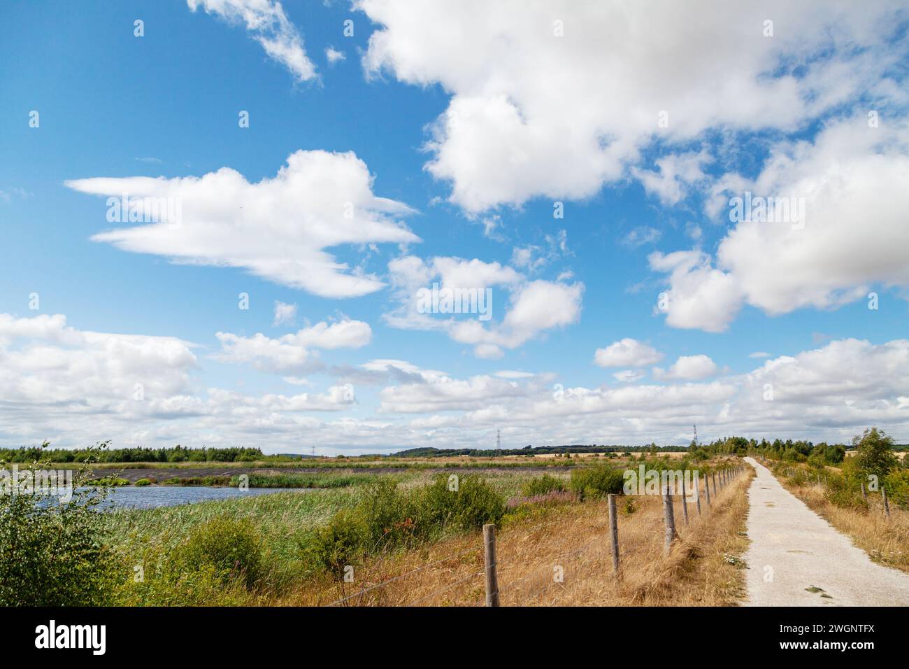 riserva naturale fairburn ings Foto Stock