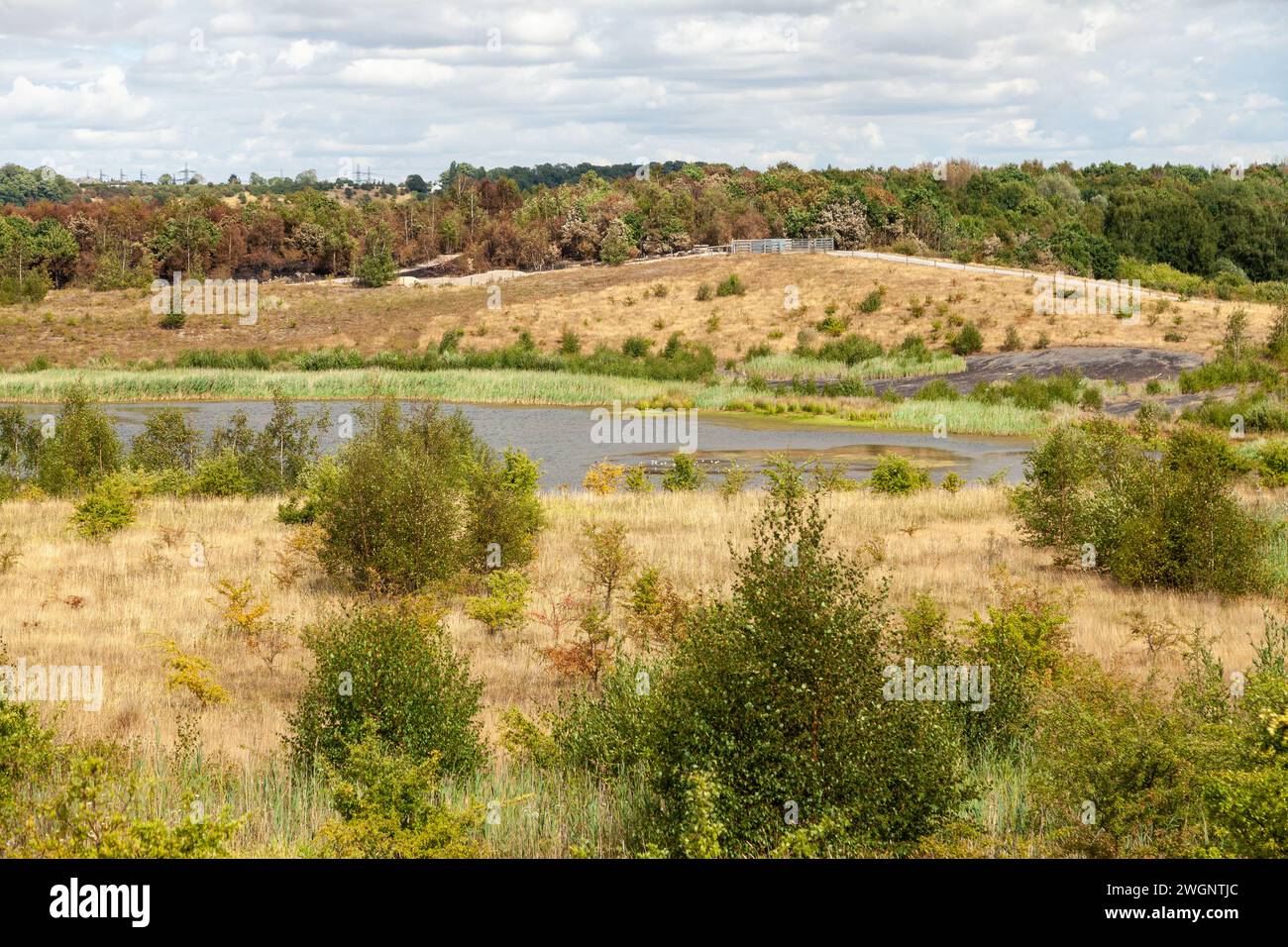 riserva naturale fairburn ings Foto Stock