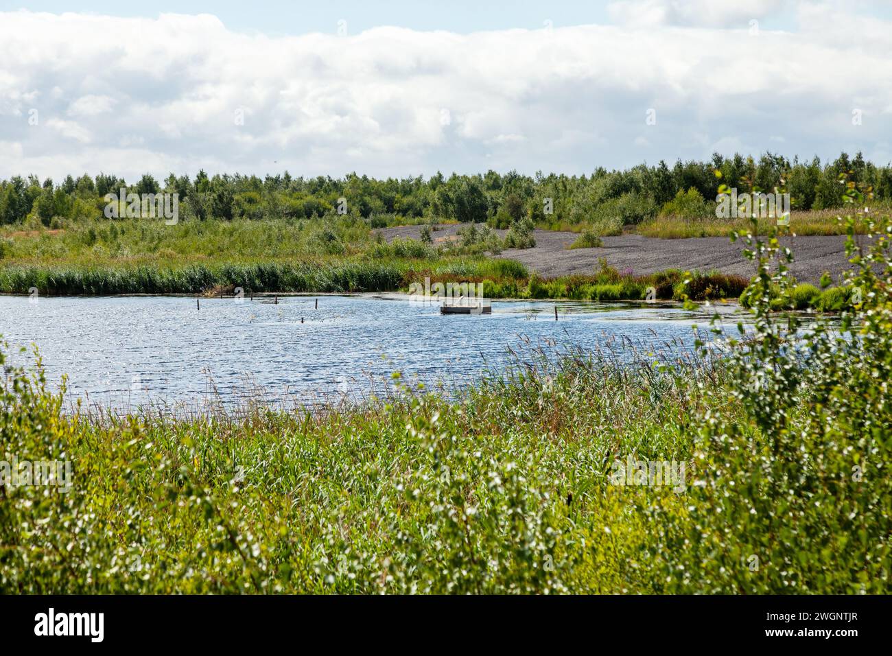 riserva naturale fairburn ings Foto Stock