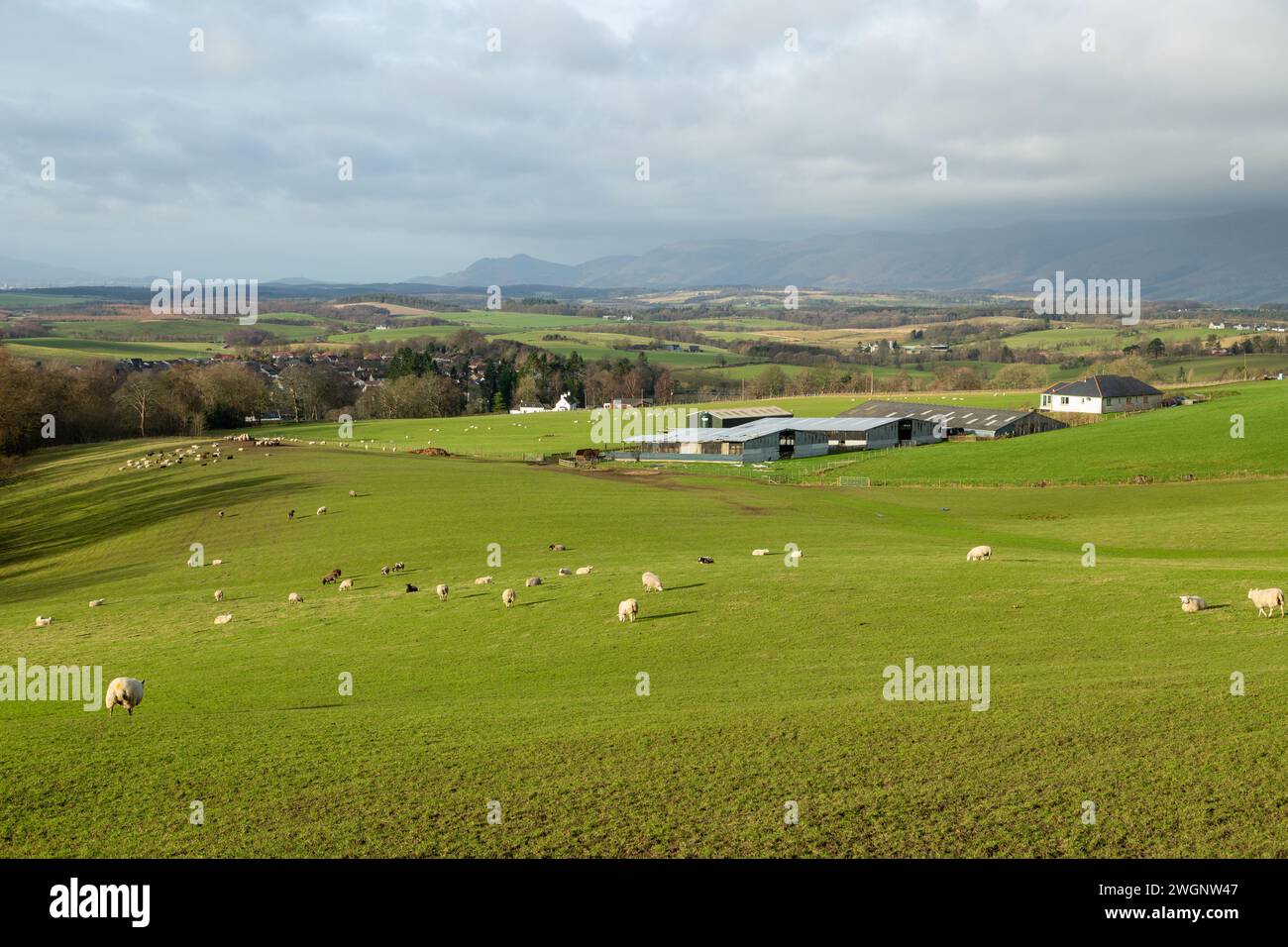 Guardando a ovest dal castello di Killernie vicino al villaggio di Saline verso le Ochil Hills, Fife, Scozia Foto Stock