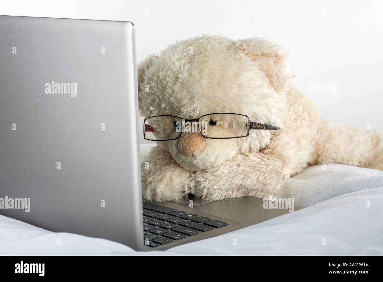 Teddy Bear che usa un portatile a letto Foto Stock