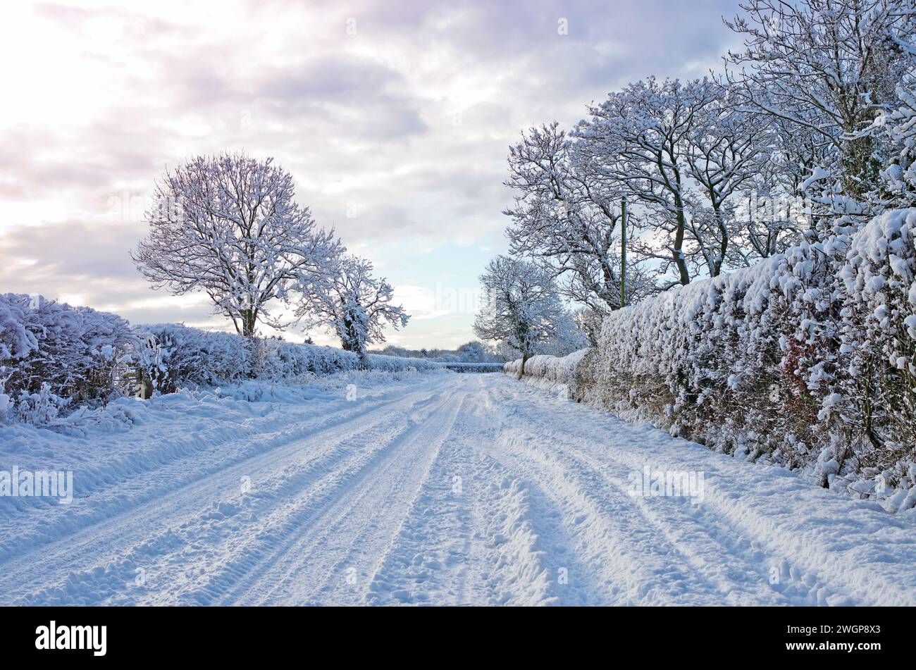 Tranquilla strada di campagna in campagna in Cumbria, Inghilterra, dopo forti nevicate. Alberi e siepi ricoperti di neve e piste per veicoli innevati sulla strada. Foto Stock