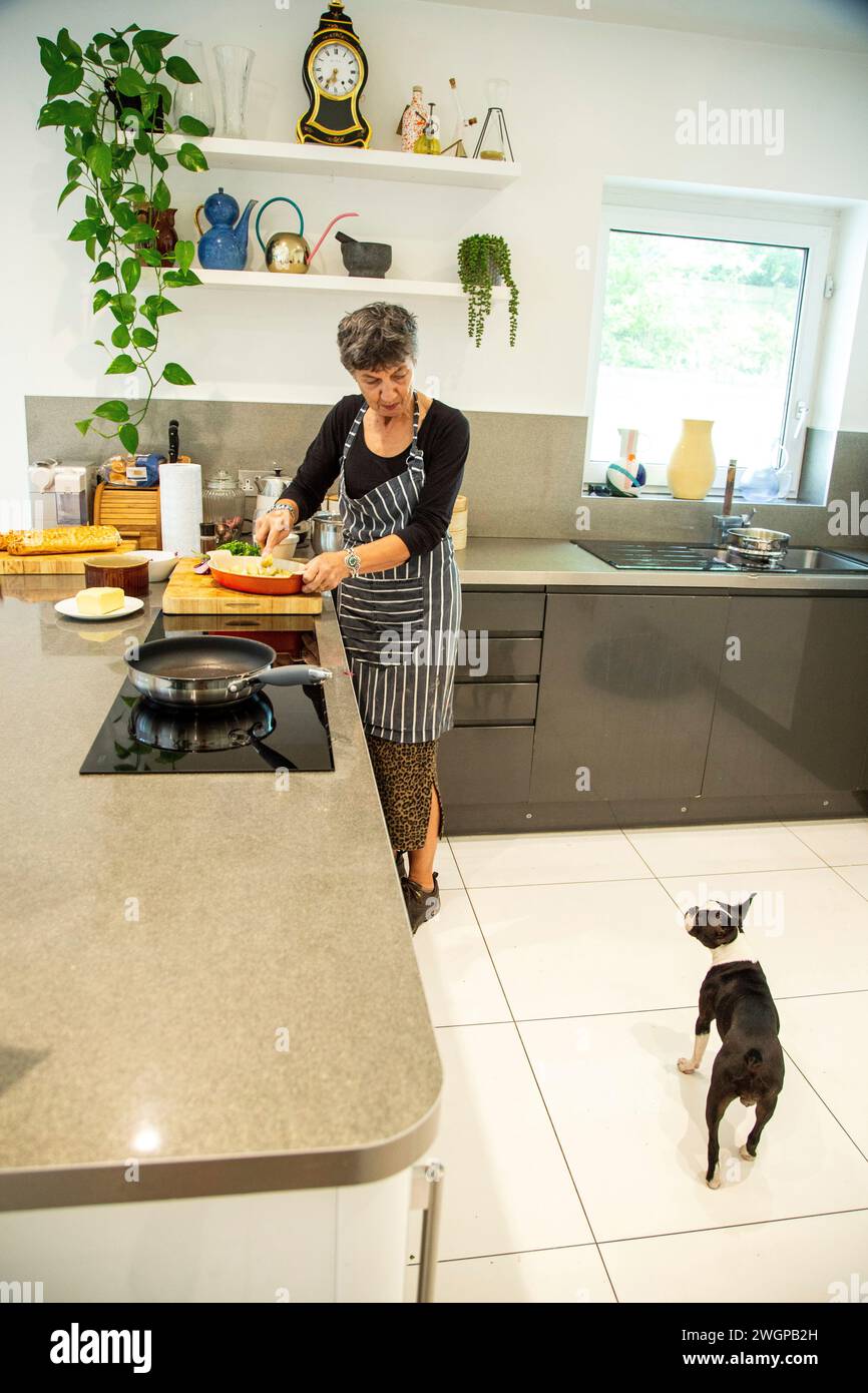 Una donna prepara il cibo nella sua cucina moderna, si ferma a parlare con il suo cane, Boston Terrier Foto Stock