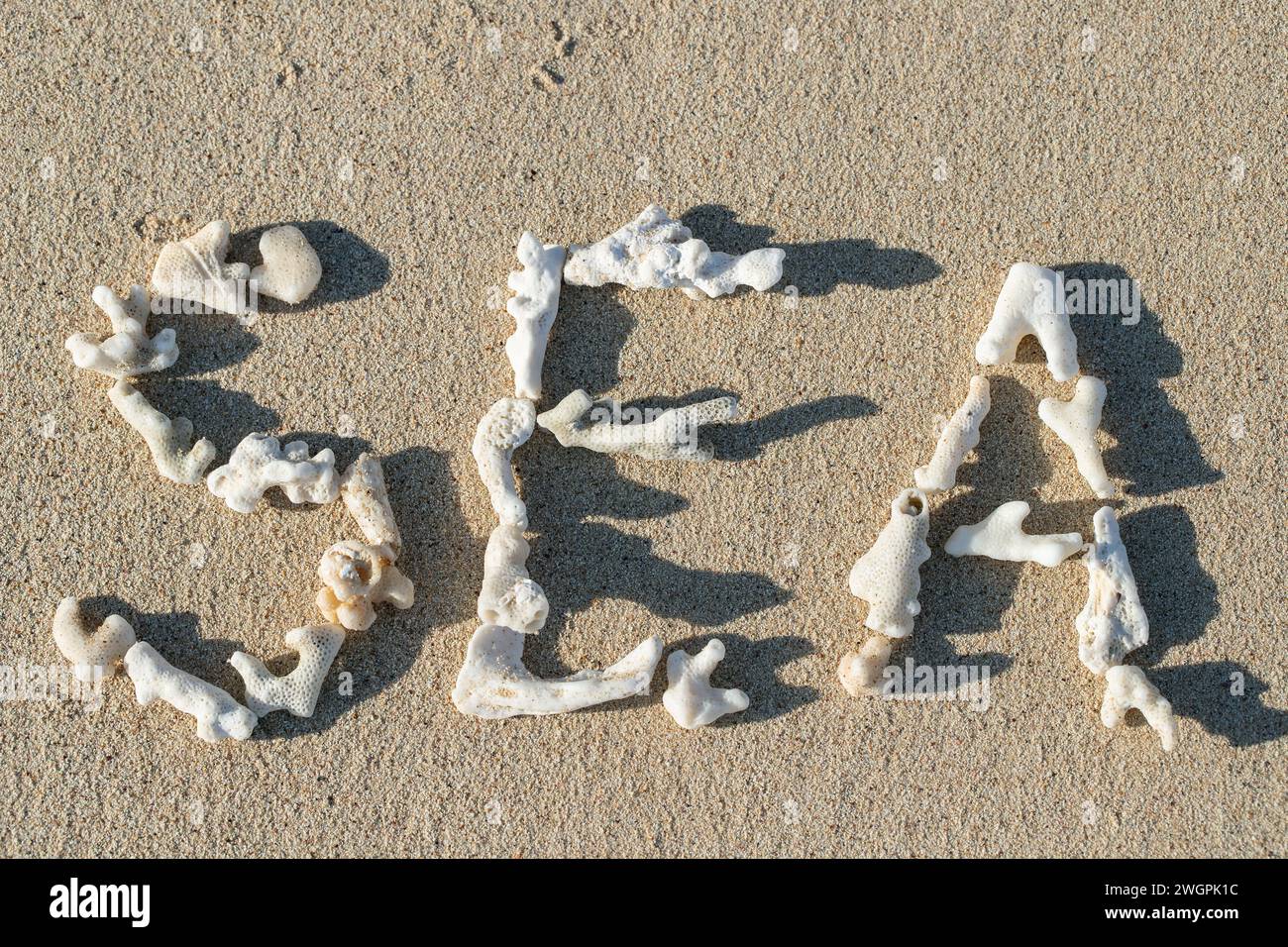 La parola "MARE", scritta con piselli di coralli morti nella sabbia di una spiaggia. Foto Stock