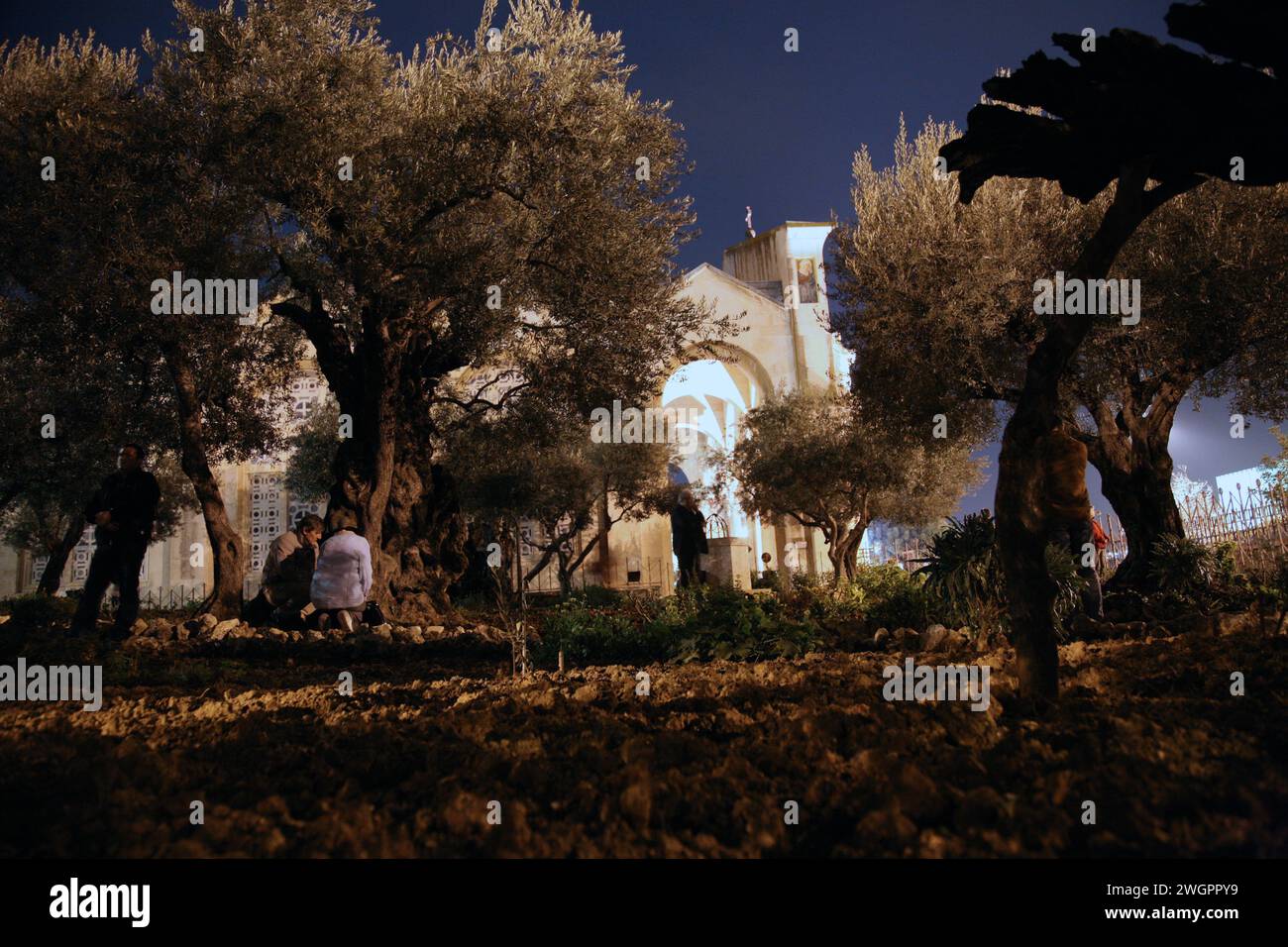 Pellegrini in preghiera nel Giardino del Getsemani, Gerusalemme, Israele Foto Stock