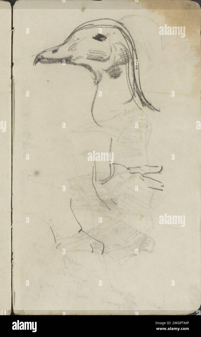 Studi su un uccello, forse un gabbiano, George Hendrik Breitner, 1882 - 1883 pagina 57 da un bozzetto con 29 fogli. Il giornale dell'Aia. gesso-uccelli acquatici Foto Stock Studi su un uccello, forse un gabbiano, George Hendrik Breitner, 1882 - 1883 pagina 57 da un bozzetto con 29 fogli. Il giornale dell'Aia. gesso-uccelli acquatici Foto Stock
