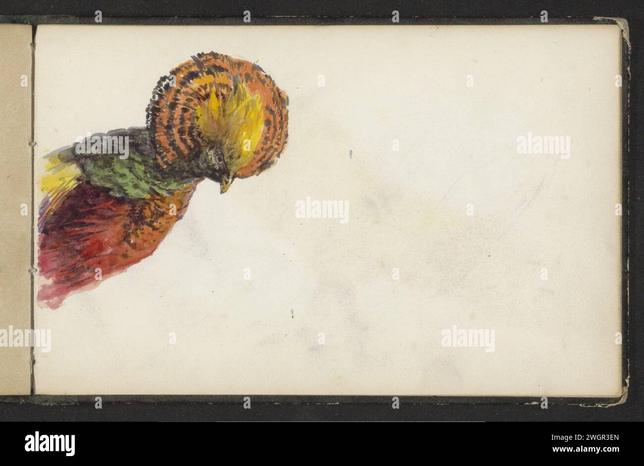 Testa di un uccello con una cresta, 1856 - c. 1870 Foglia 35 Recto da un bozzetto con 39 fogli. carta. acquerello (vernice). pennello a matita per uccelli Foto Stock Testa di un uccello con una cresta, 1856 - c. 1870 Foglia 35 Recto da un bozzetto con 39 fogli. carta. acquerello (vernice). pennello a matita per uccelli Foto Stock
