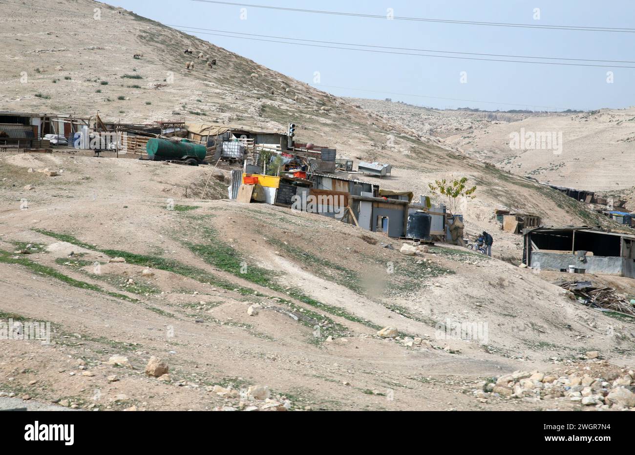 Insediamenti beduini nel deserto della Giudea vicino a Gerico, Cisgiordania, Palestina, Israele Foto Stock