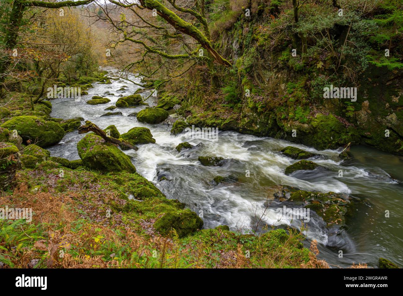 Il fiume Afon Dwyryd nel parco nazionale di Eryri (Snowdonia) tra Blaenau Ffestiniog e Maentwrog Foto Stock