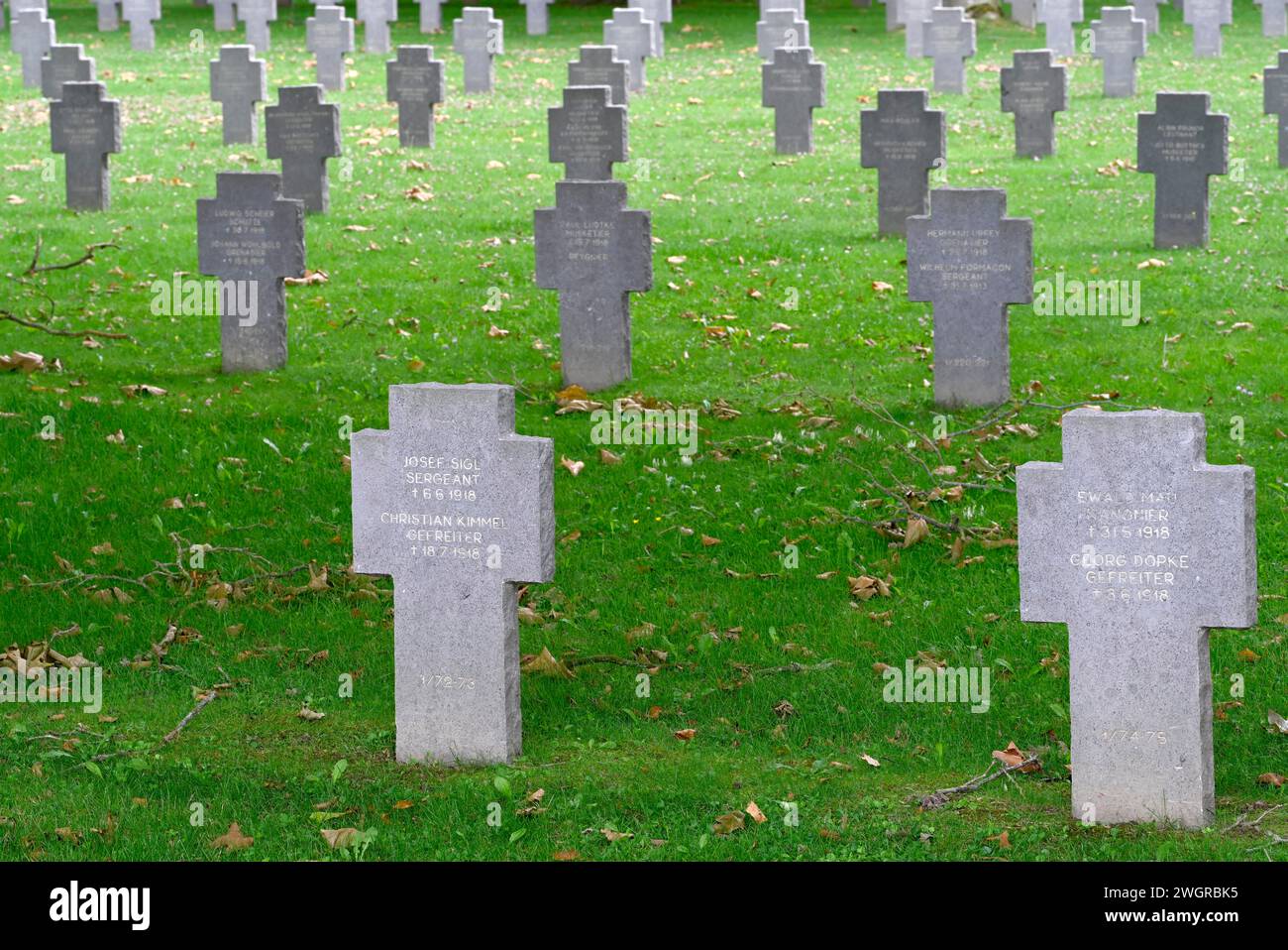 Lapidi nel cimitero militare tedesco della prima guerra mondiale a Belleau, Torcy-en-Valois, Francia settentrionale, Francia. Foto Stock