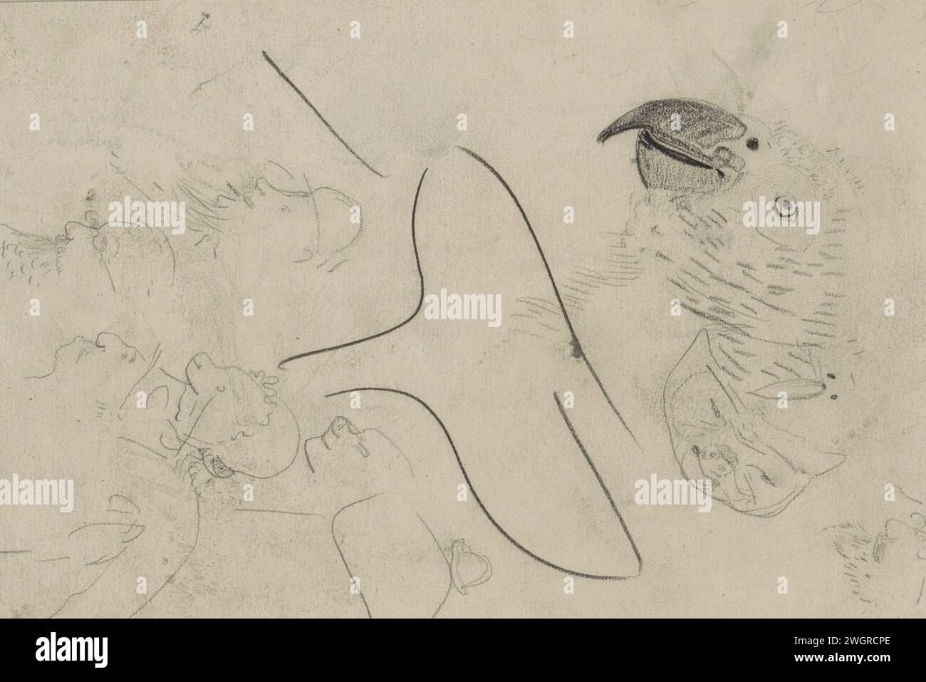 Foglio di studio, compreso con la testa di un pappagallo, c. 1895 - 1900 anche teste caricaturali. Pagina 6 verso da un bozzetto con 19 fogli. carta. uccelli ornamentali di gesso: pappagallo. testa (umana) Foto Stock Foglio di studio, compreso con la testa di un pappagallo, c. 1895 - 1900 anche teste caricaturali. Pagina 6 verso da un bozzetto con 19 fogli. carta. uccelli ornamentali di gesso: pappagallo. testa (umana) Foto Stock