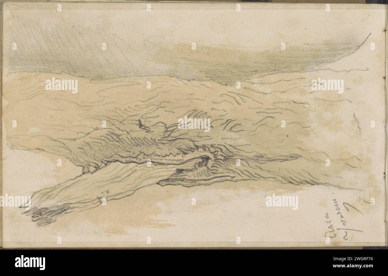 Tribù di quercia, 1868 Leaf 13 verso da un bozzetto con 48 fogli. Il giornale dell'Aia. acquerello (vernice). Alberi a matita: quercia Haagse Bos Foto Stock