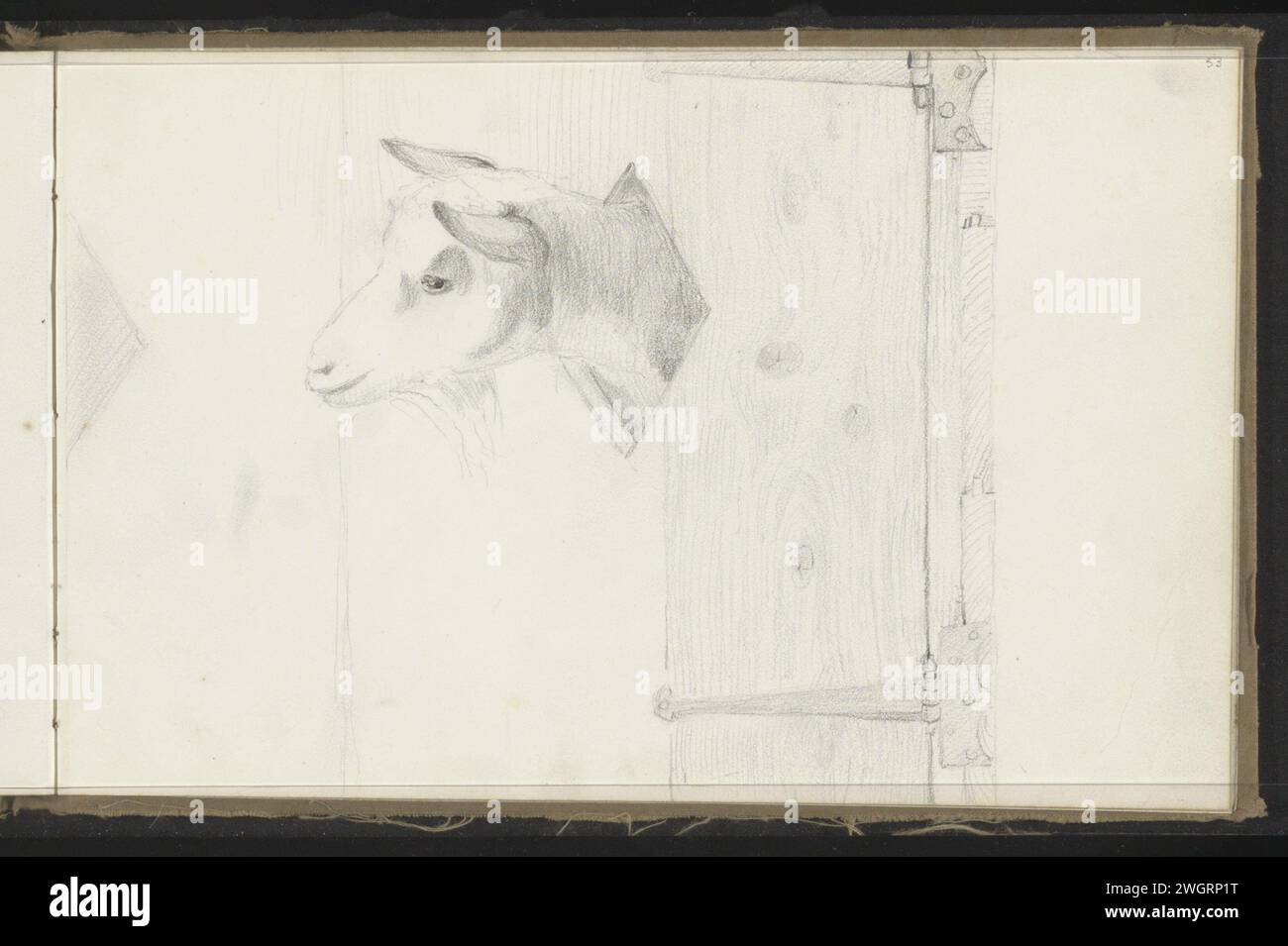 Testa di capra, c. 1848 - c. 1854 la capra attacca la testa attraverso un'apertura a forma di diamante in una porta di legno. Pagina 53 Recto from a sketchbook with 58 sheets. carta. capra a matita Foto Stock