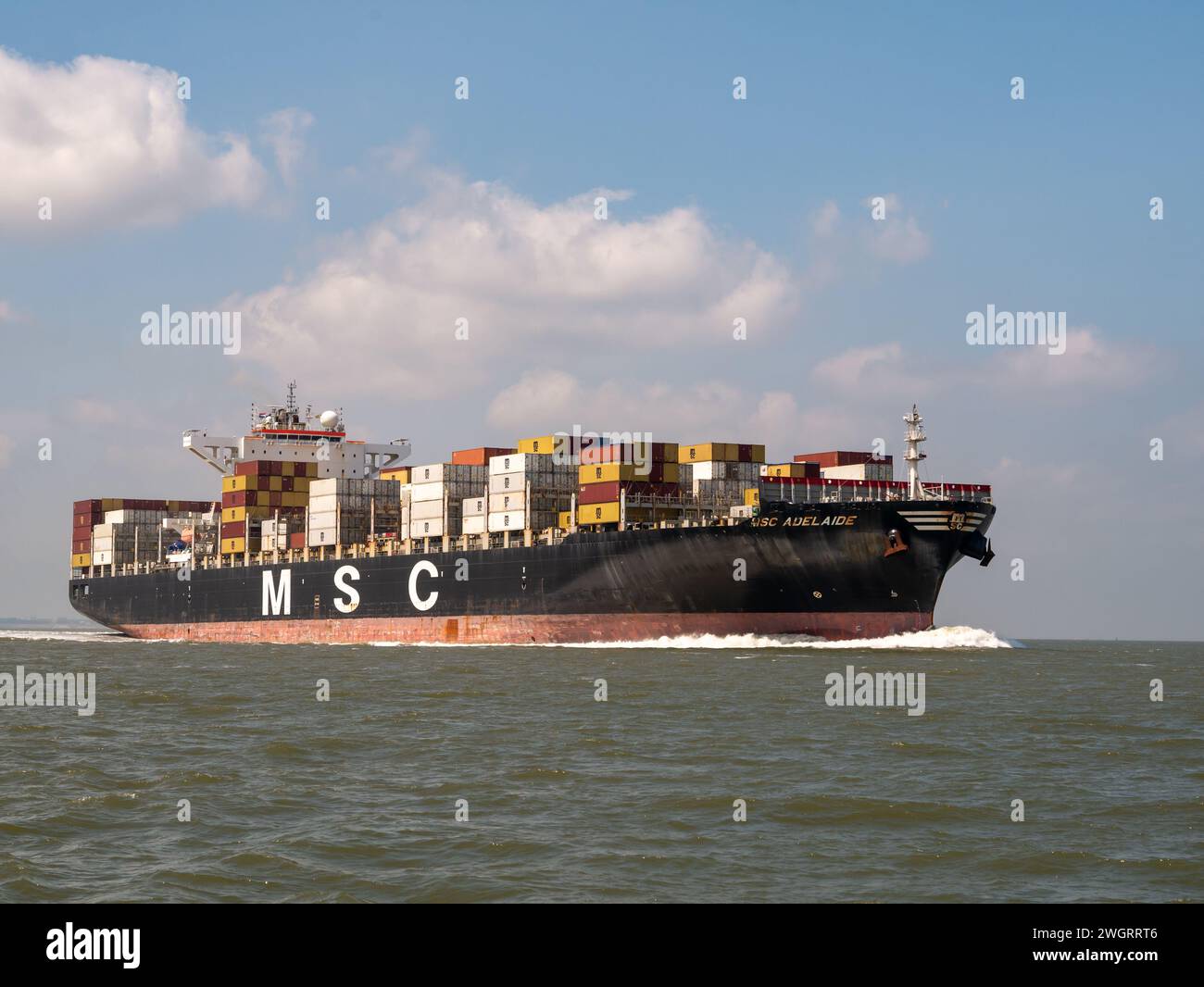 Nave container MSC Adelaide in navigazione a Westerschelde nei Paesi Bassi in rotta per il porto di Anversa, Belgio Foto Stock