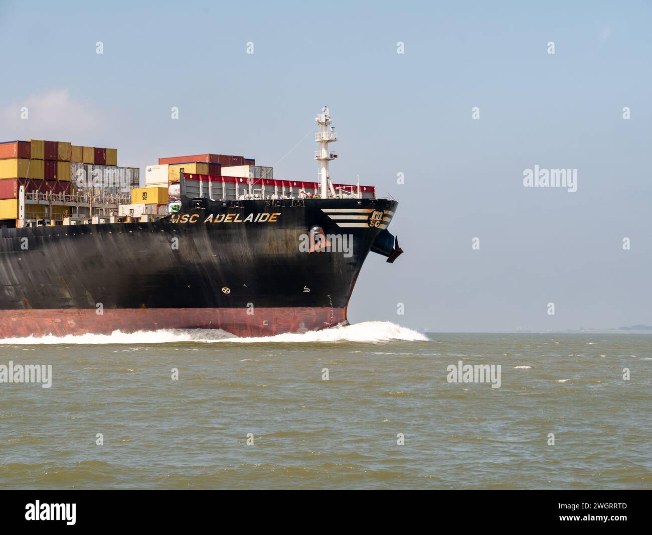 Prua della nave portacontainer MSC Adelaide che naviga su Westerschelde nei Paesi Bassi in rotta verso il porto di Anversa, Belgio Foto Stock