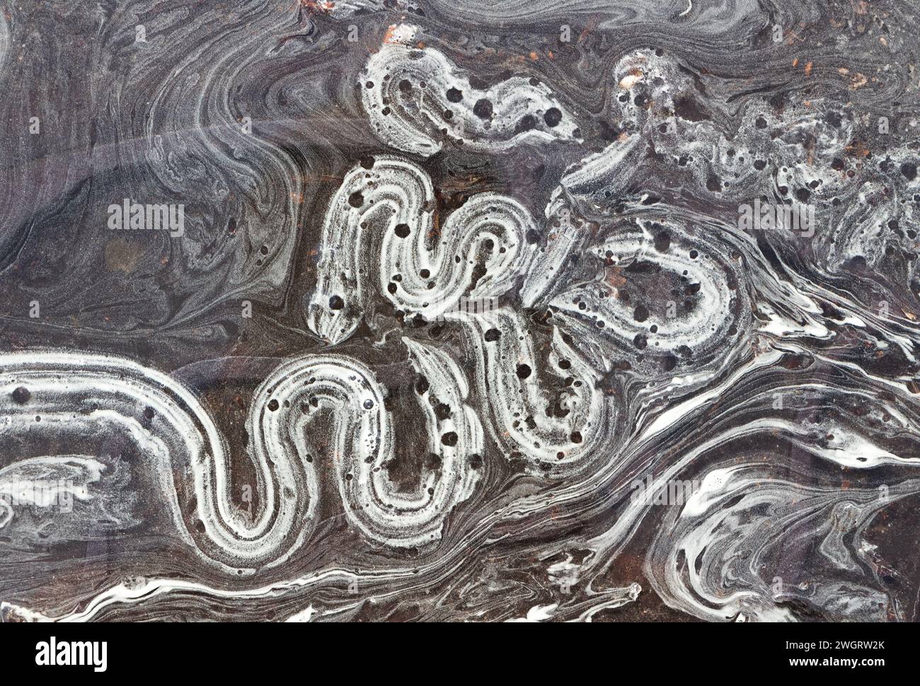Polline dalle piante. Consistenza del polline di fiori sulla superficie dell'acqua. Foto Stock