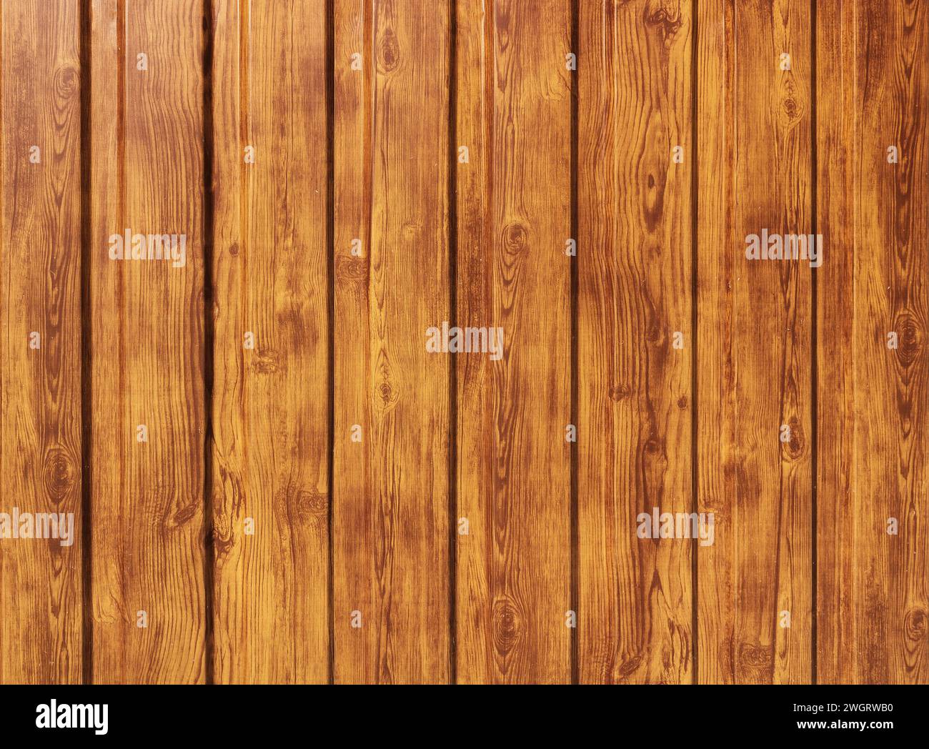 La consistenza di una brillante recinzione in legno. La struttura della recinzione realizzata in pannelli di legno Foto Stock