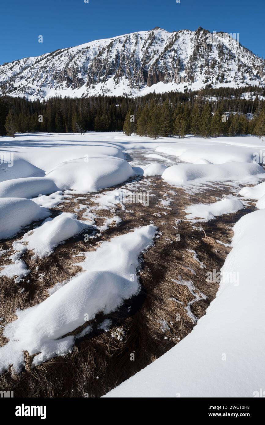 Lower Aneroid Basin, Eagle Cap Wilderness, Oregon. Foto Stock