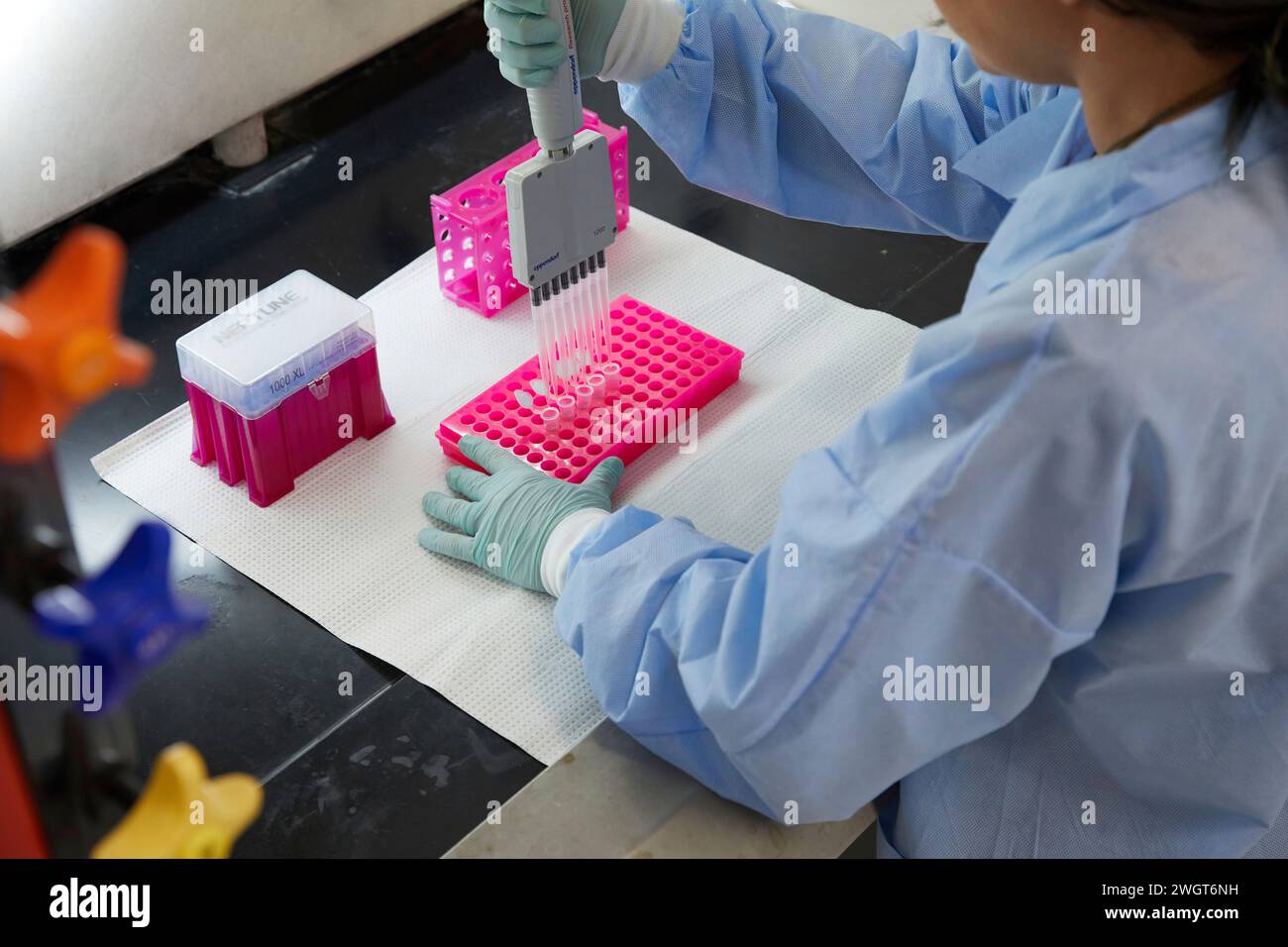Strumenti e contenitori in un laboratorio medico, il lavoro viene svolto con pipette e campioni Foto Stock