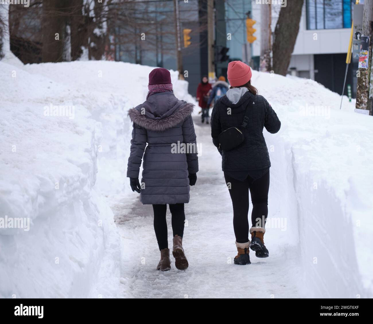 Halifax, nuova Scozia, Canada. 6 febbraio 2024. Dopo la più grande tempesta di neve degli ultimi 20 anni ad Halifax, il processo di pulizia è in corso. Passeggiata pedonale sui marciapiedi di Bell Road con snowbanks alti oltre un metro su ogni lato crediti: Meanderingemu/Alamy Live News Foto Stock