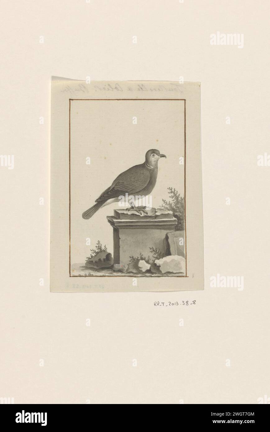 Bird in Landscape, Krüger Jr., c. 1772 - c. 1809 carta da disegno pennello uccelli Foto Stock