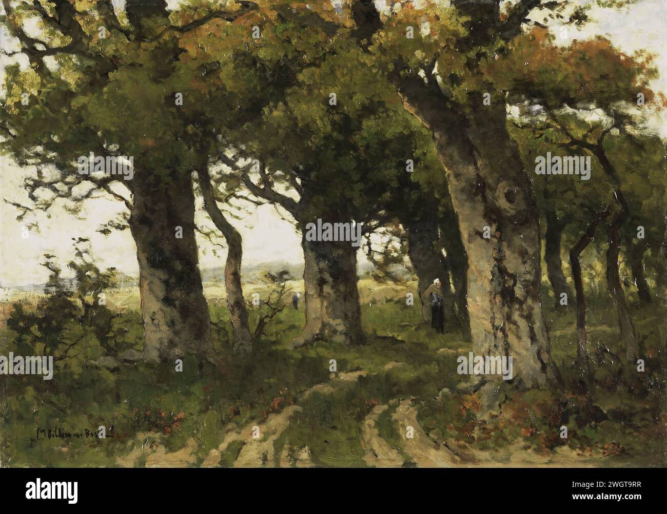 Avenue of Oaks in tarda estate, Maria Bilders-van Bosse, 1880 - 1900 dipinto paesaggio con un viale tra una doppia fila di querce. tela. vernice a olio (vernice) per il percorso forestale o la corsia. gruppi di alberi Foto Stock