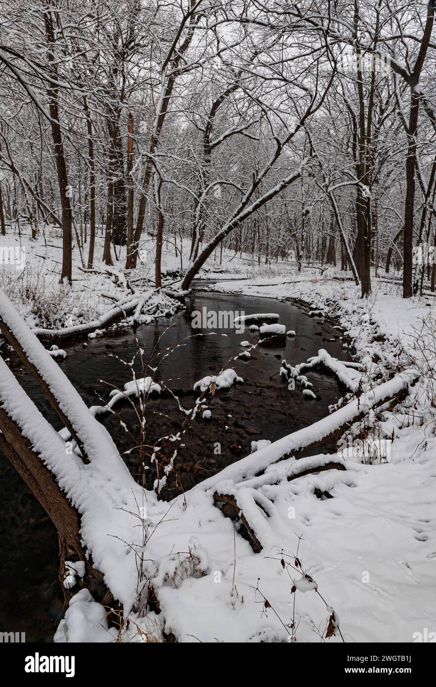 Hammel Woods e Hammel Creek sono ricoperti di neve fresca, Hammel Woods Forest Preserve, Will County, Illinois Foto Stock