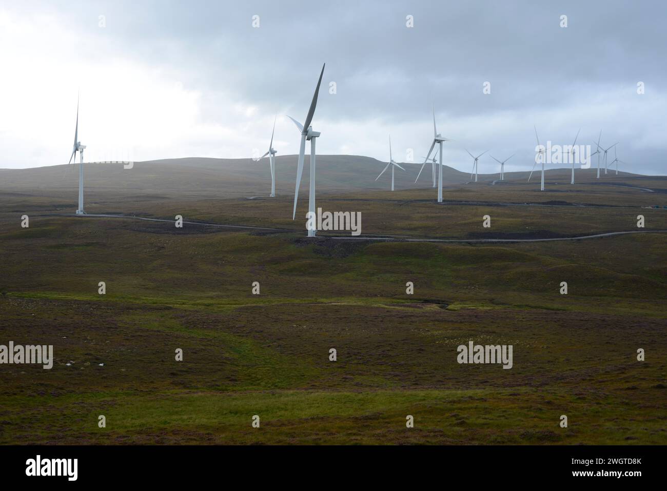 Le turbine eoliche in Scozia Foto Stock