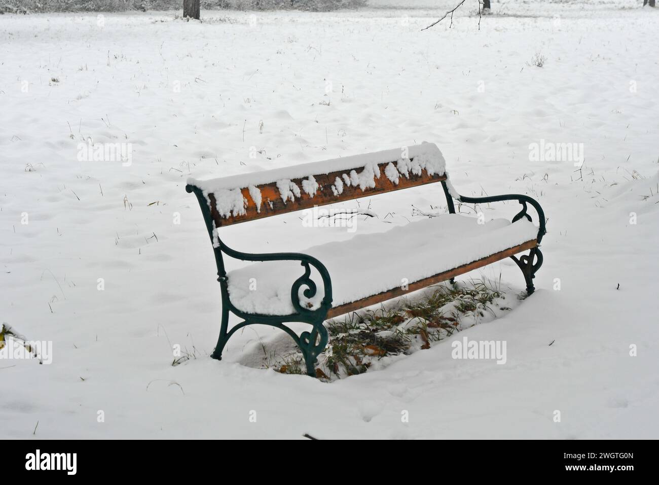 Austria, panchina del parco coperto di neve su un sentiero a piedi nel Parco naturale del deserto di Mannersdorf Foto Stock