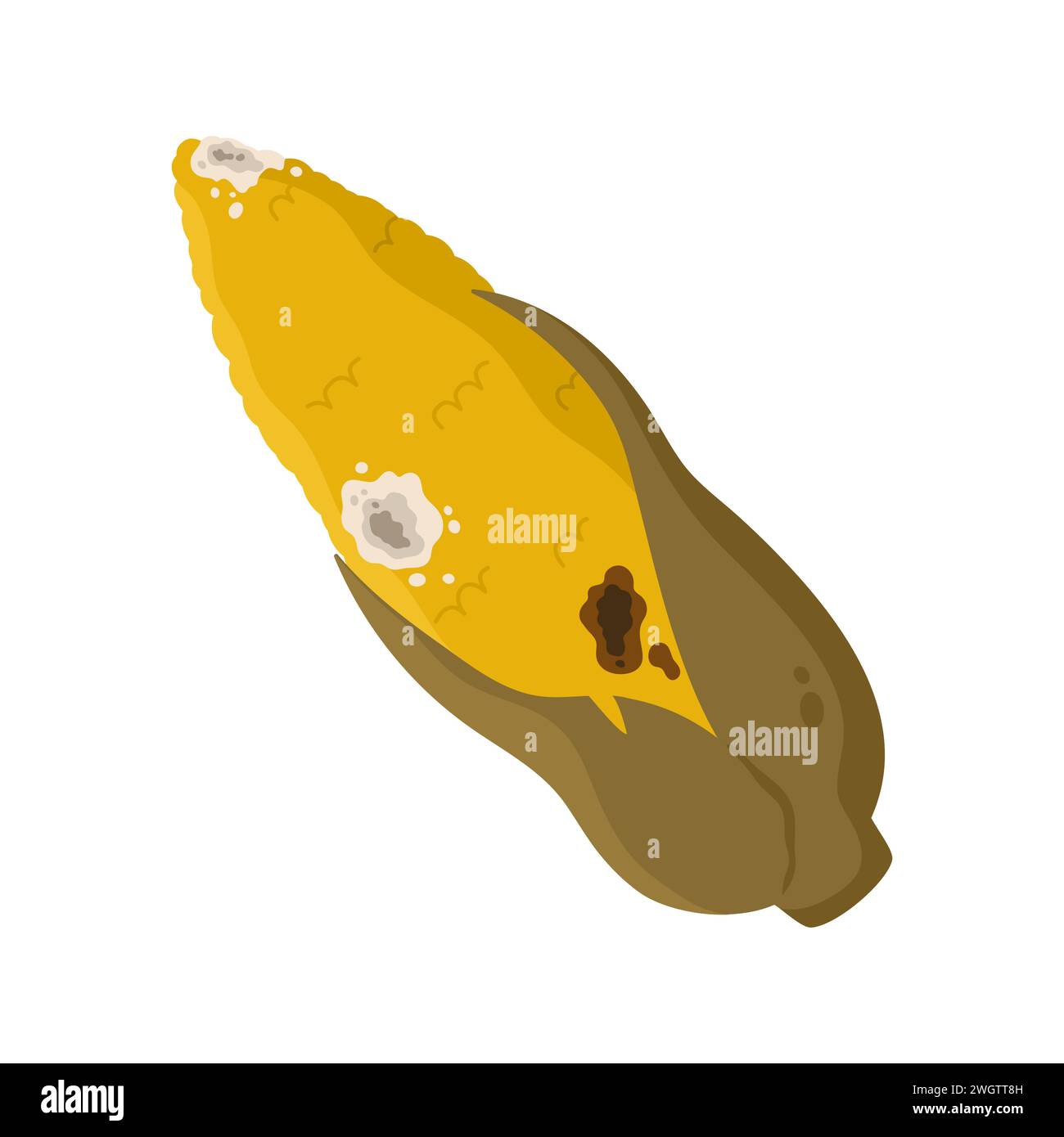 Mais marcio danneggiato. Cattivo vecchio cibo malsano, prodotto scaduto muffa, immondizia organico illustrazione vettore cartone animato Illustrazione Vettoriale
