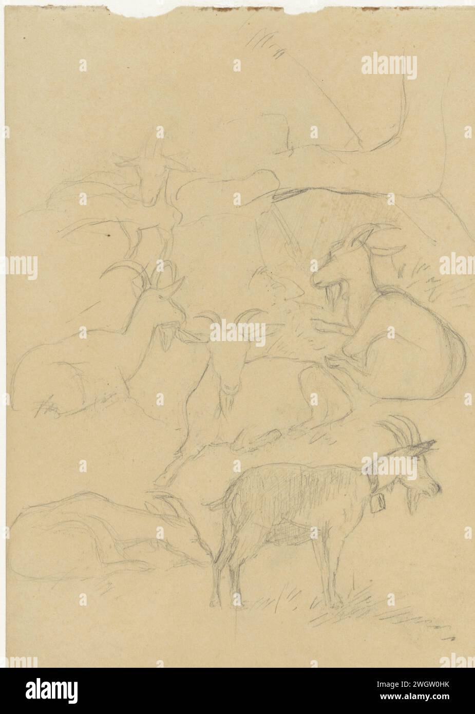 Foglio di studio con capre, Jozef Israëls, carta da disegno 1834 - 1911. gesso caprino Foto Stock