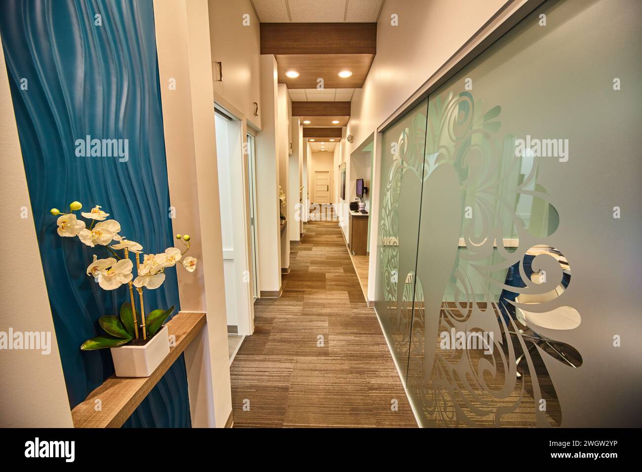 Moderno corridoio aziendale con tenda di accento blu e orchidea Foto Stock
