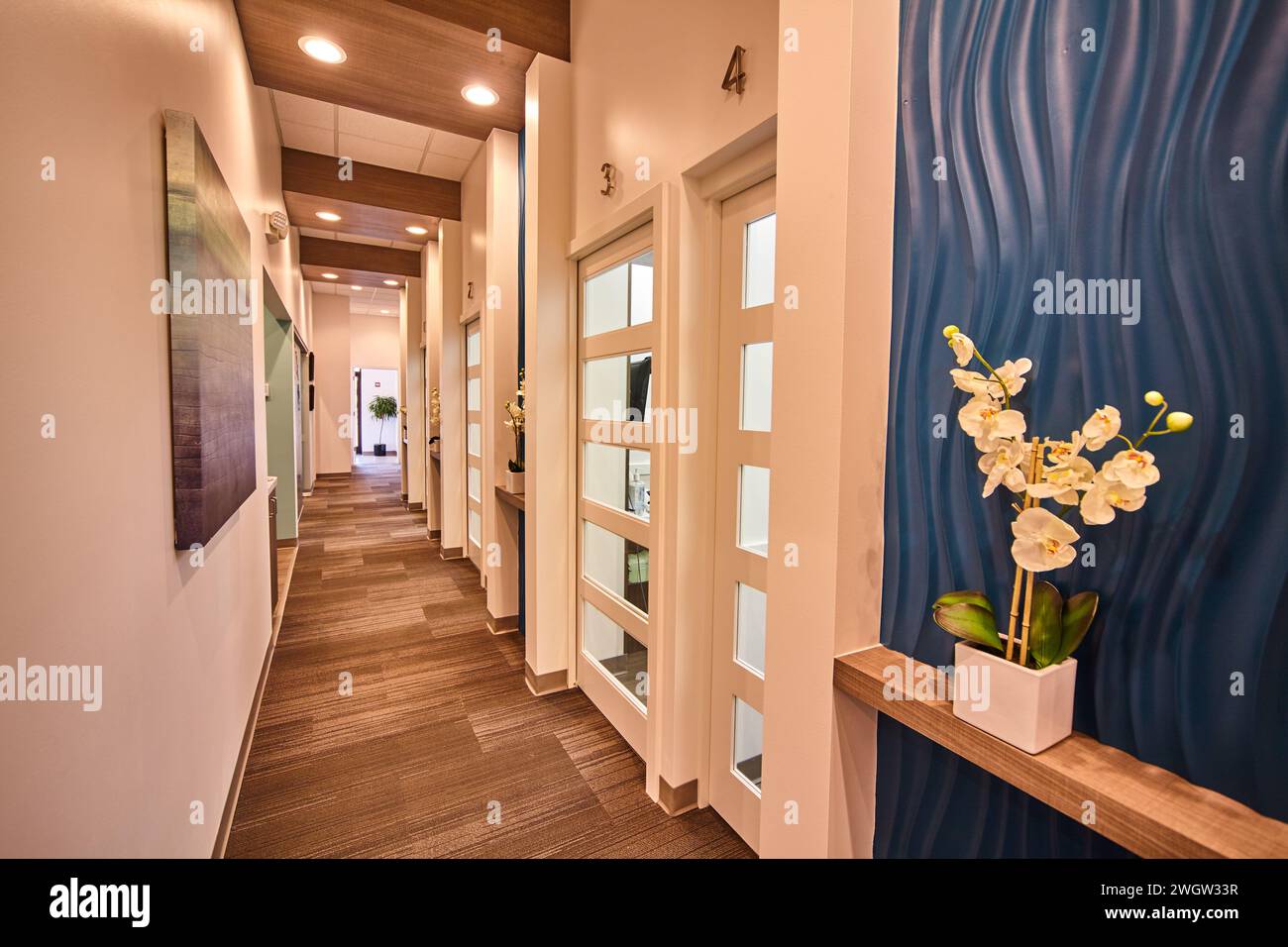 Moderno corridoio di uffici con decorazioni in stile Art & Orchidea, vista ad angolo basso Foto Stock