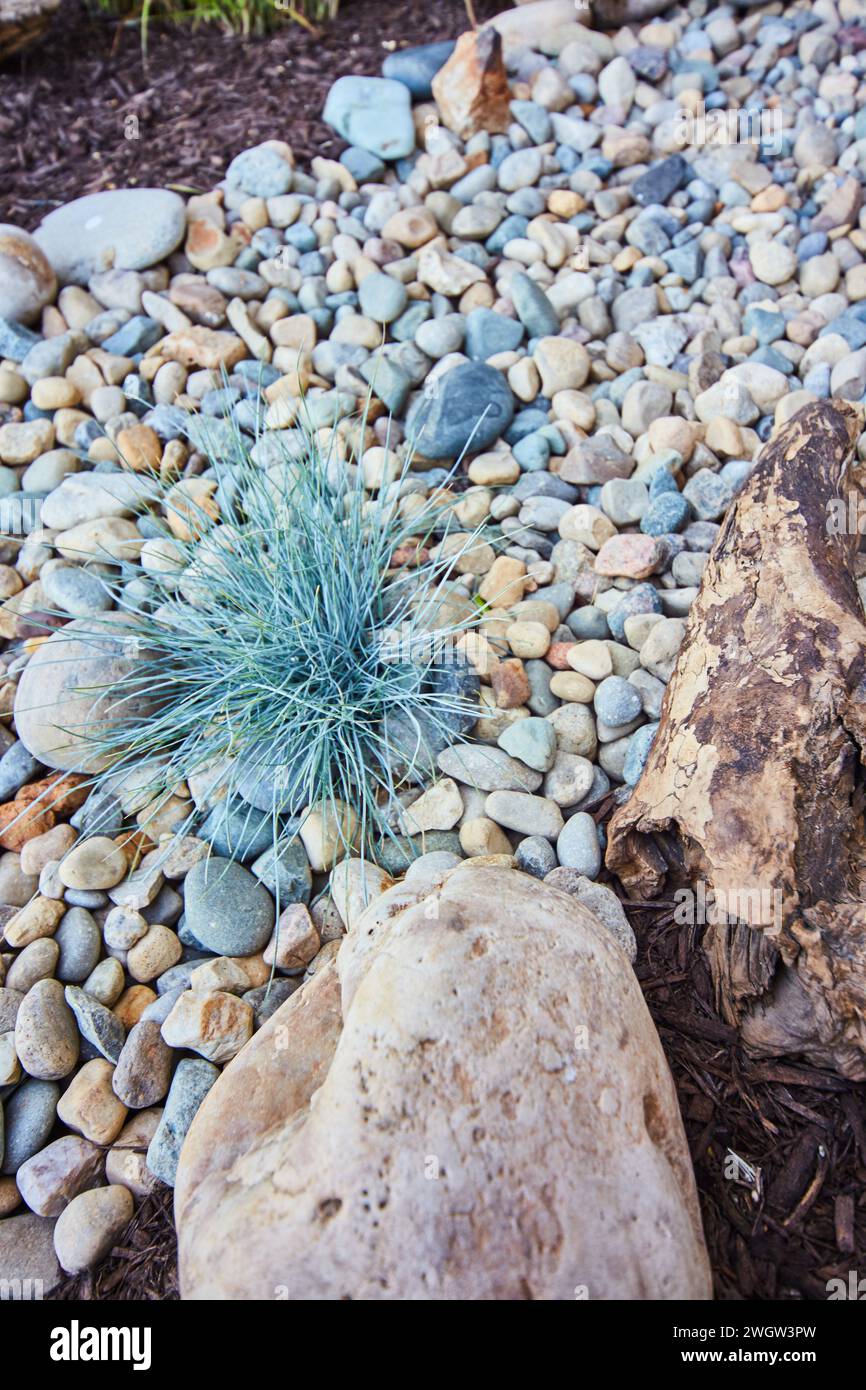 Giardino zen con pietre del fiume e erba ornamentale, vista ad angolo basso Foto Stock
