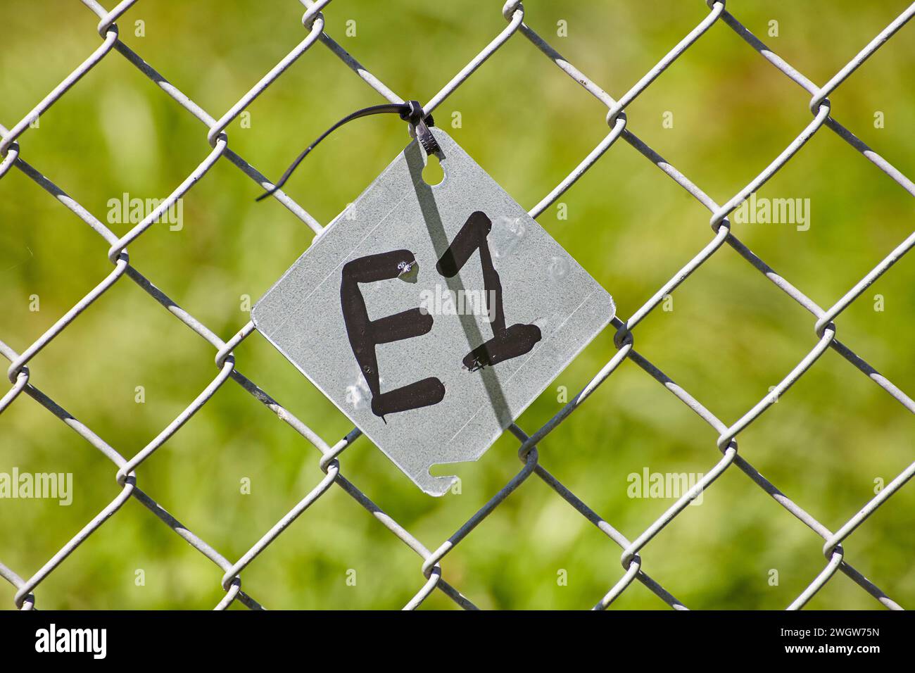 Recinzione con collegamento a catena con tag E1 con sfondo verde Foto Stock
