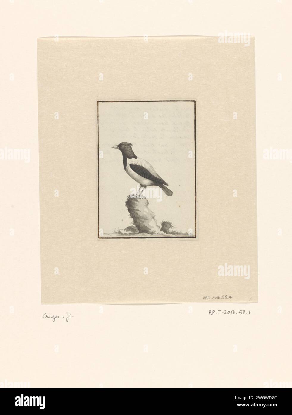 Bird in Landscape, Krüger Jr., c. 1772 - c. 1809 carta da disegno pennello uccelli Foto Stock