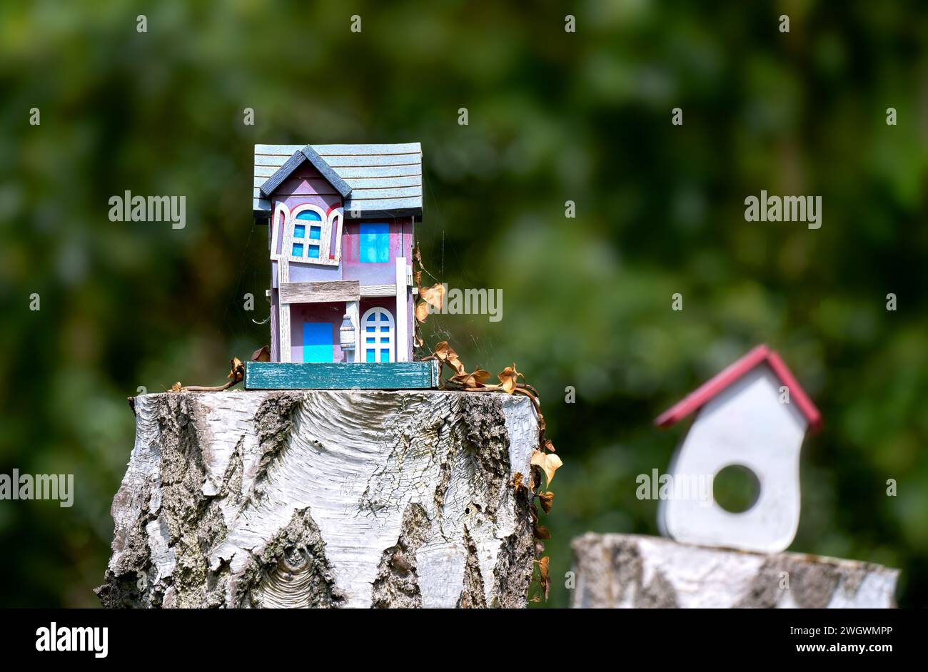 Piccola casa di legno colorata e intemprata con foglie secche e ragnatele su un ceppo d'albero Foto Stock