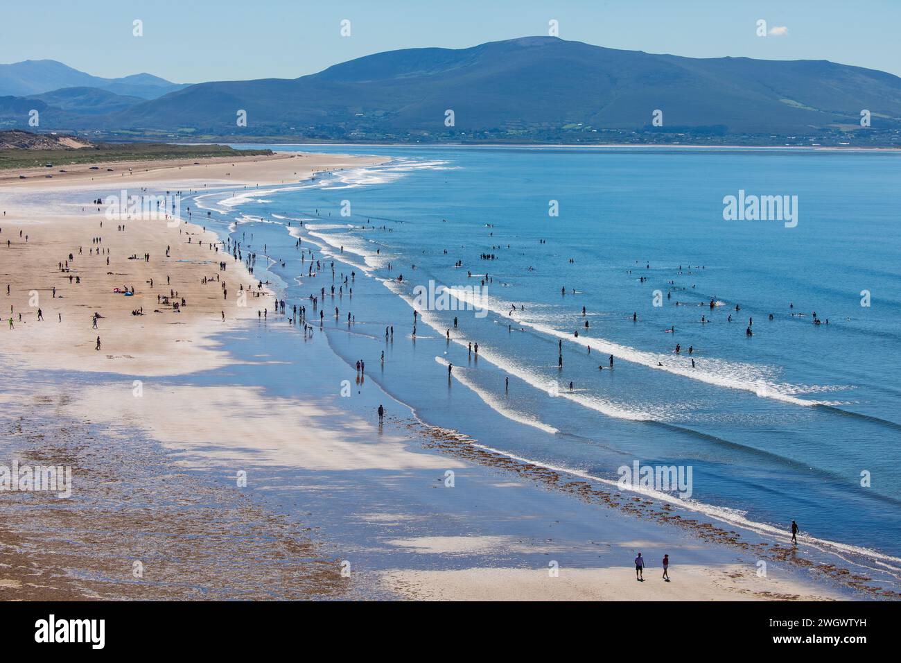 Inch Beach, Contea di Kerry, Irlanda Foto Stock