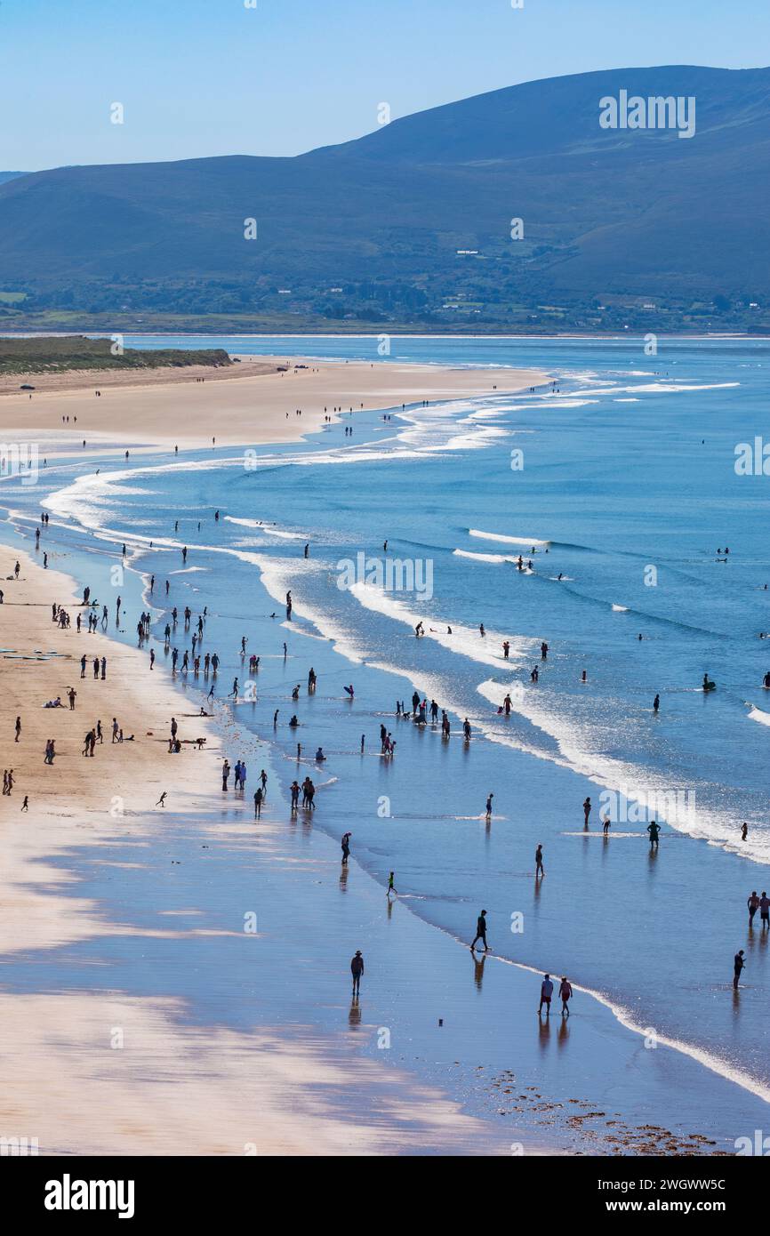 Inch Beach, Contea di Kerry, Irlanda Foto Stock