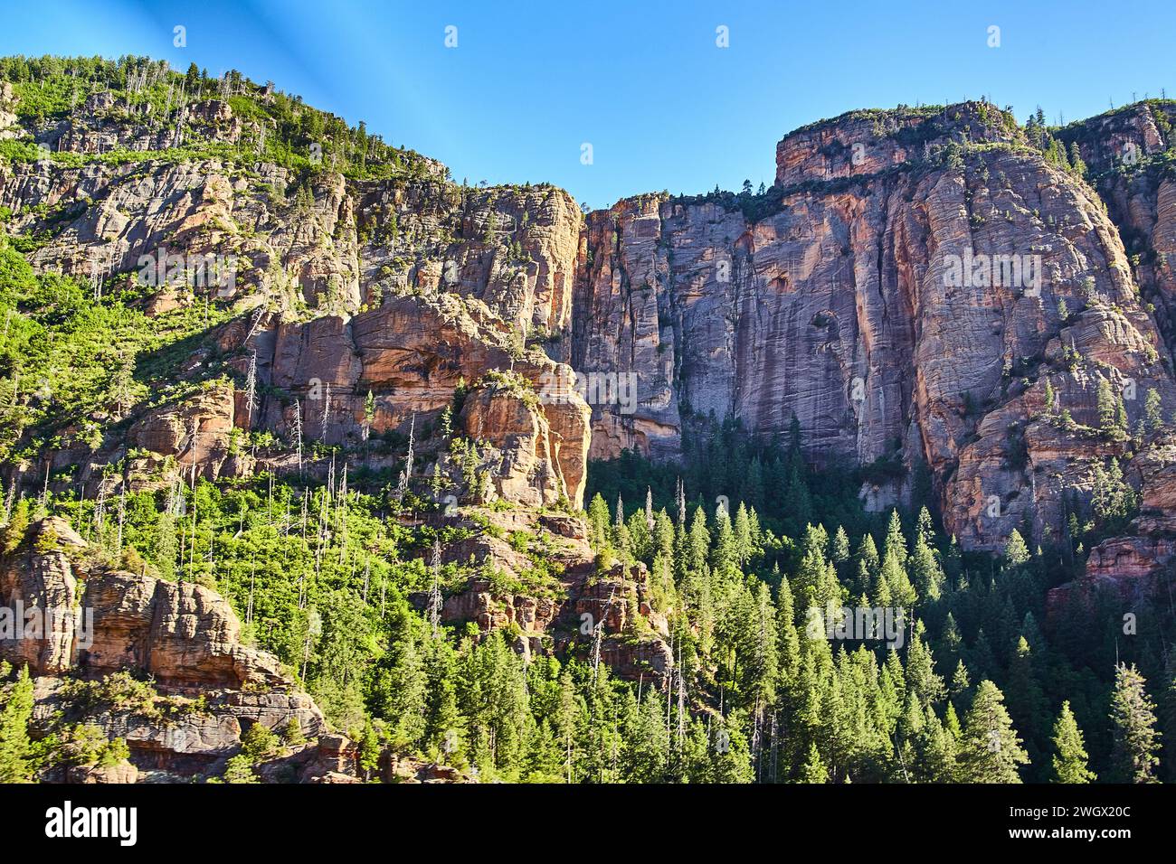 Vista aerea delle scogliere di Sedona e del paesaggio lussureggiante della foresta Foto Stock