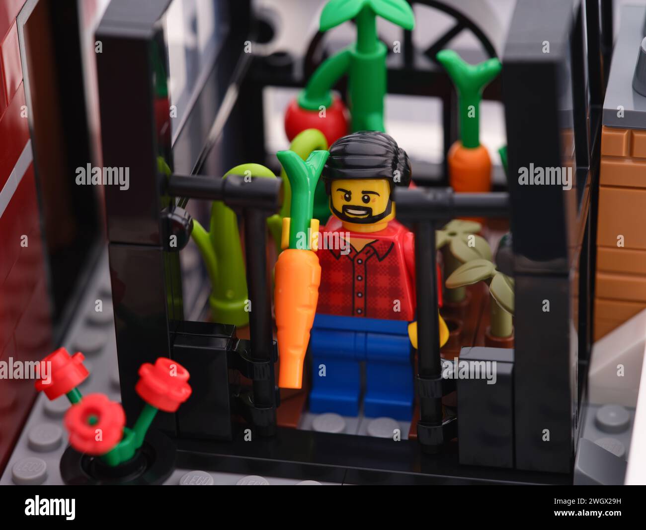 Tambov, Federazione Russa - 25 gennaio 2024 Una minifigura Lego uomo in piedi in una serra e in mano una carota Foto Stock