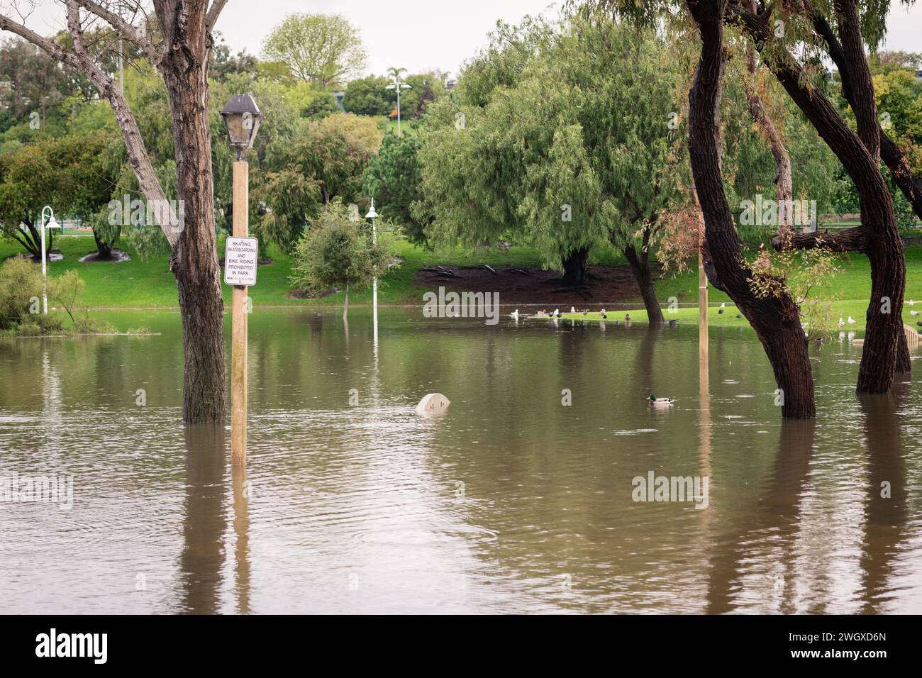 Parco giochi inferiore e grande laghetto al Polliwog Park inondato dalla pioggia a Manhattan Beach, CALIFORNIA Foto Stock