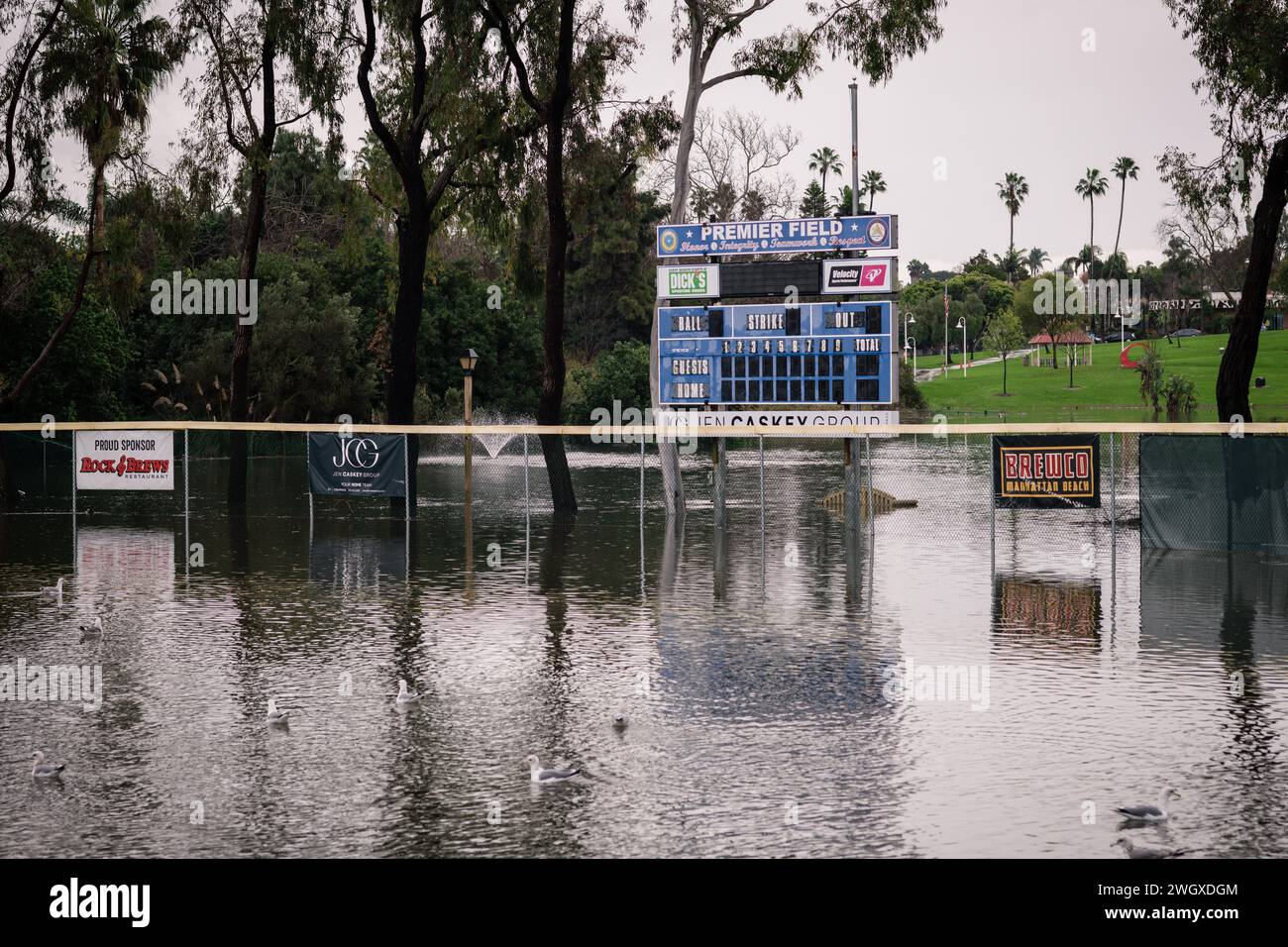 Premier Field al Polliwog Park inondato dalla pioggia a Manhattan Beach, CALIFORNIA Foto Stock