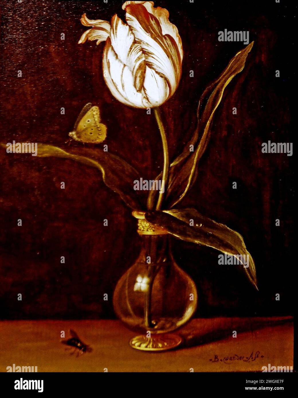 AST Balthasar van der, Un tulipano singolo in un vaso (1b). Foto Stock